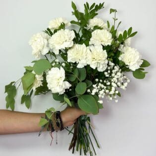 Ramo La Chata (copia)