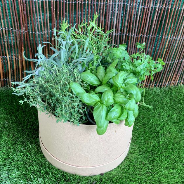Sombrerera de AROMÁTICAS