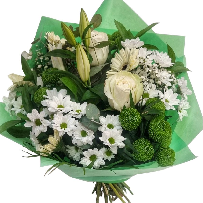Ramo MENTA