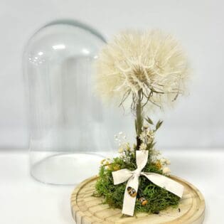 Cúpula DIENTE DE LEÓN