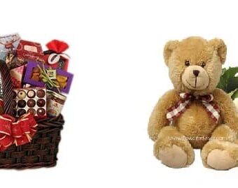 Composición de aperitivos, rosas y peluche